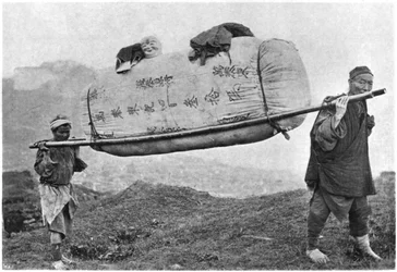 Coolies transportant du coton, 1901